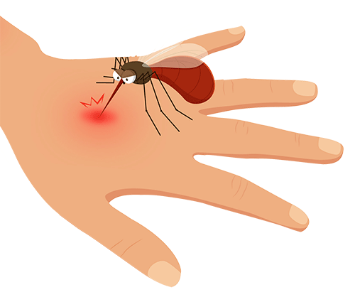 پیشگیری از گزش پشه و سایر حشرات 